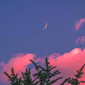 墨人操中国女人的逼
